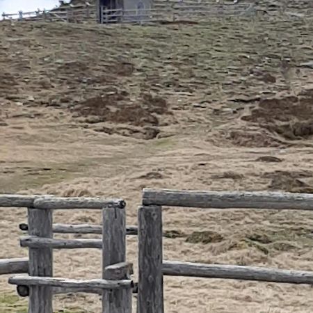 Sankt Peter am Kammersberg Fruhstuckspension Bischof I D Wiesen מראה חיצוני תמונה